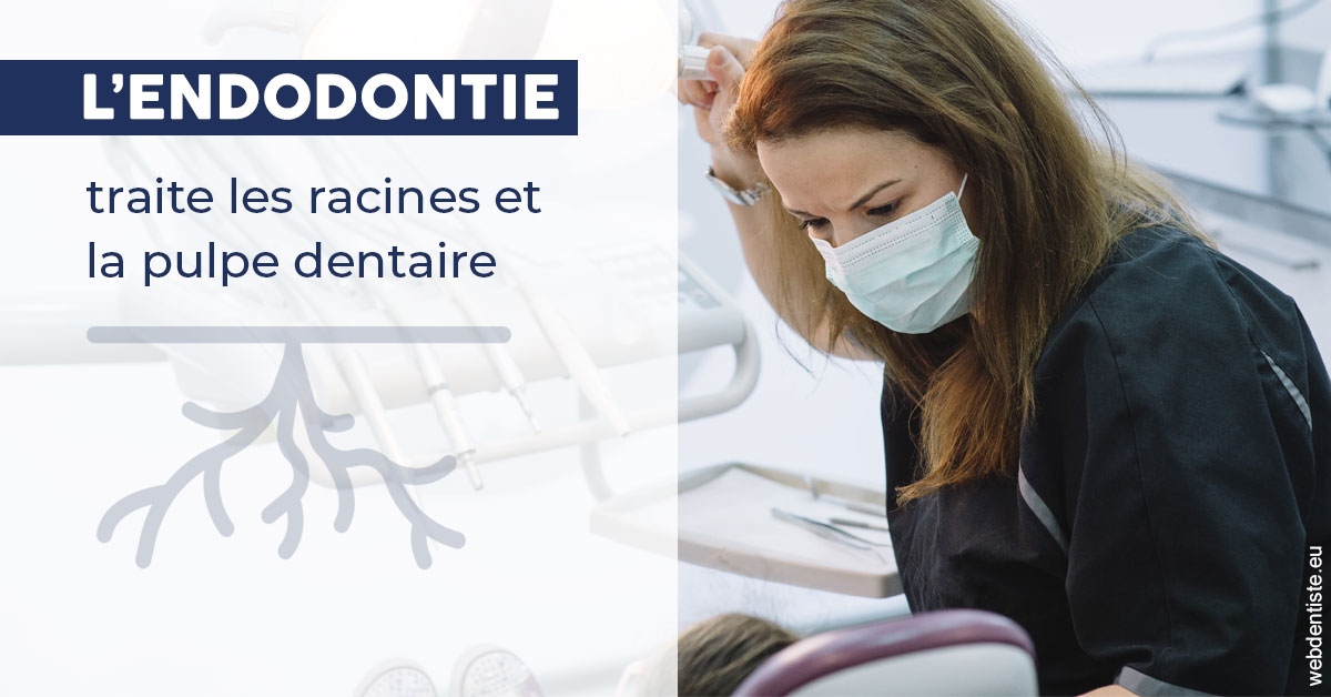 https://dr-lequart-christophe-frederic.chirurgiens-dentistes.fr/L'endodontie 1