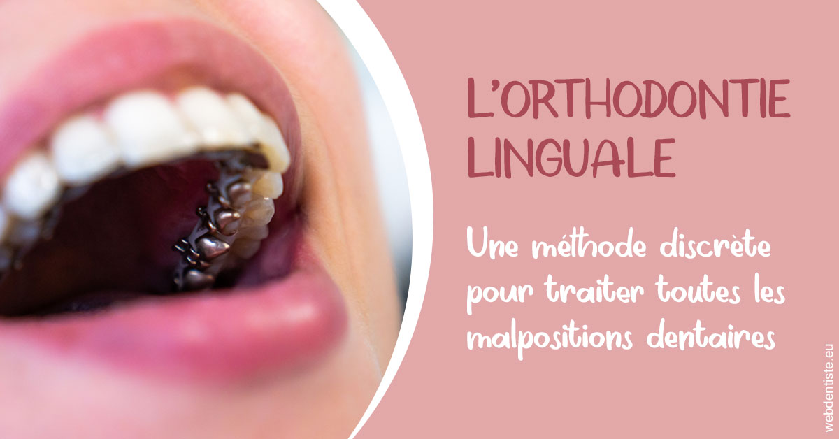 https://dr-lequart-christophe-frederic.chirurgiens-dentistes.fr/L'orthodontie linguale 2