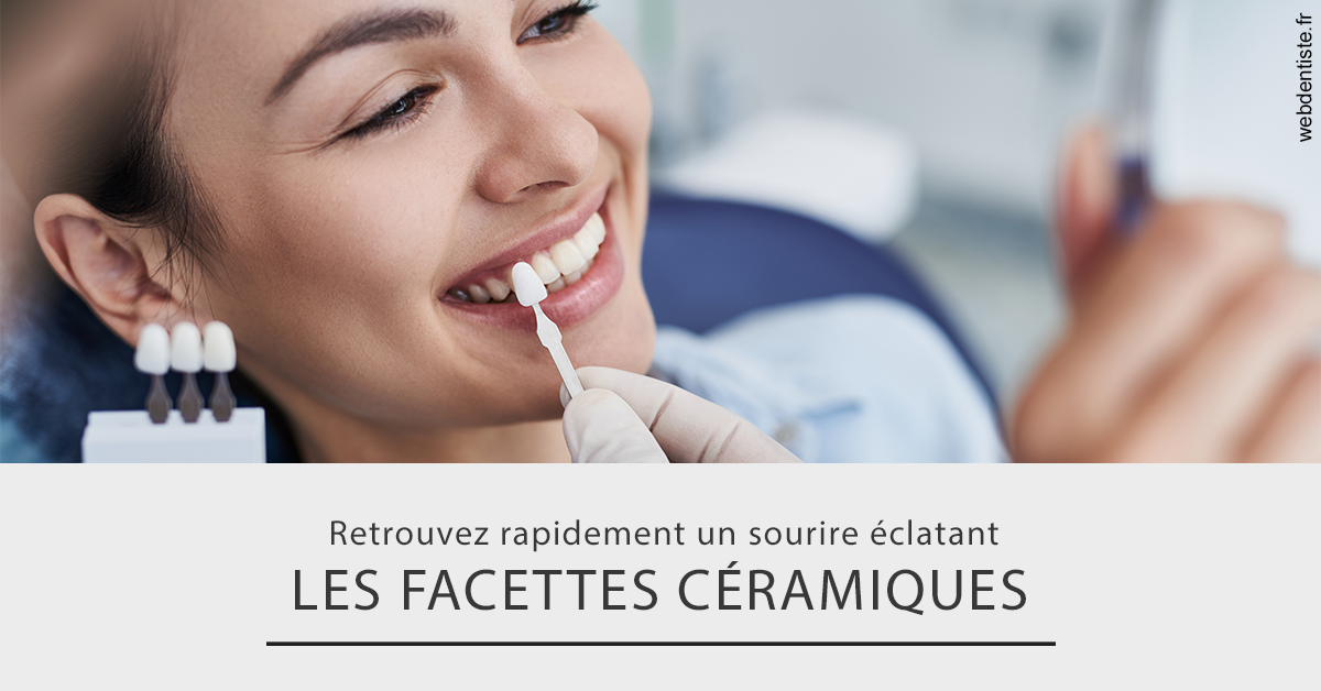 https://dr-lequart-christophe-frederic.chirurgiens-dentistes.fr/Les facettes céramiques 2