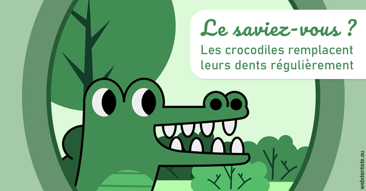 https://dr-lequart-christophe-frederic.chirurgiens-dentistes.fr/Crocodiles 2